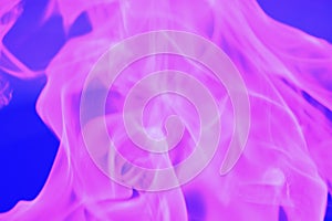 Abstract glare of flames of pink light on a blue background