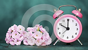 Pink alarm clock and flowers on blue background, spring, daylight savings time concept