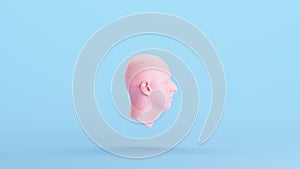 Pink Anatomical Ecorche Human Head Medical Musculature Sculpture Profile Model Blue Kitsch Background Right View