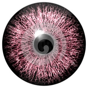 Pink animal eye texture, 3d eyeball photo