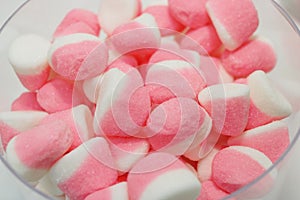 Pink ans white candys with sugar