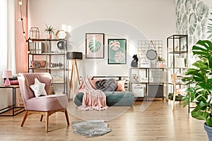 Pink armchair in cozy bedroom