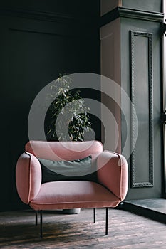 Pink armchair in the living room, interior details. Nobody