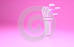 Pink Aspergillum icon isolated on pink background. Minimalism concept. 3d illustration 3D render