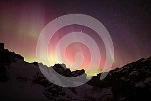 Pink aurora borealis over snow covered volcanic rocks, thingvellir Iceland