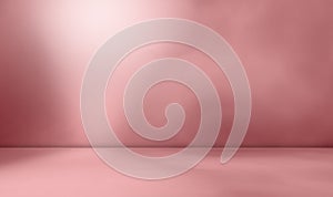 Pink Background Flower Rose Color Shadow Abstract Light Mockup