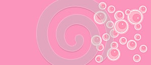Pink background with human egg cells or oocytes. Concept banner or template for reproductive health, egg donation