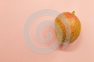 On the pink background lies a fresh and mature mango. There are drops of water on it