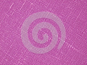 Pink backround - Linen Canvas - Stock Photo