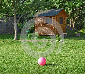 Pink ball on green grass in backyard