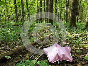 The pink ball is wasted in the forest ecology