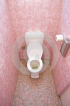 Pink Bathroom Toilet