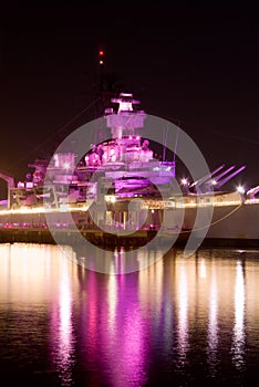 Pink Battleship (October) photo