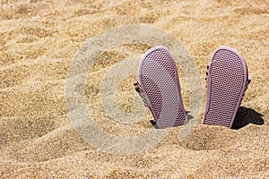 Pink beach slippers in the sand on the beach photo