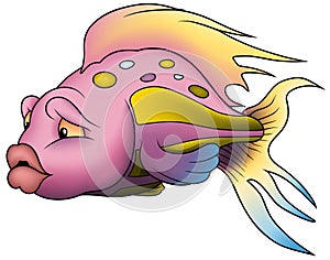 Pink Beautiful Fish