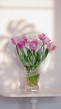 Pink beautiful tulips flowers in the vase