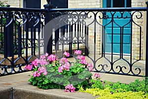 Pink Begonias, Iron Fence, Teal Door photo