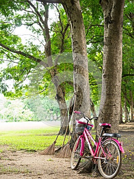 pink bicycle