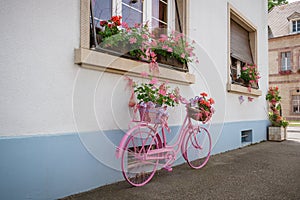 Pink bicycle with flower baskets on street