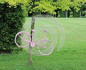 Pink bicycle hanging on the tree