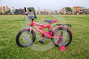 Pink Bicycle