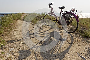 PINK BICYCLE SEASIDE