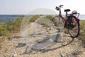 PINK BICYCLE SEASIDE