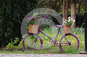 Pink bike and flowers