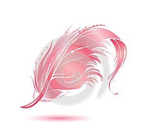Pink bird feather icon. Decorative design element isolated on white background