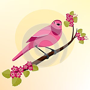 A pink bird sits on a branch of a cherry blossom