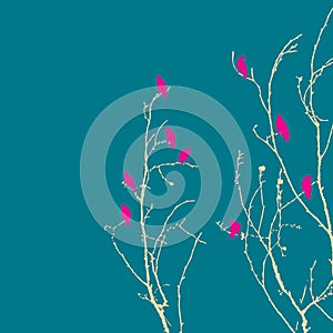 Pink birds in tree branches