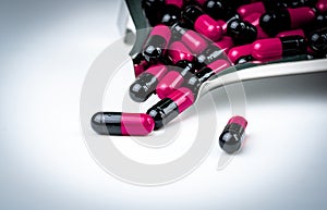 Pink-black capsule pills on drug tray. Antibiotics drug resistance. Global healthcare. Antimicrobial capsule pills. Pharmacy