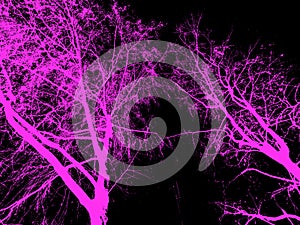 Pink black nature forest trees foliage texture decorative background plant silhouette