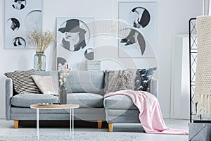 Pink blanket on grey sofa