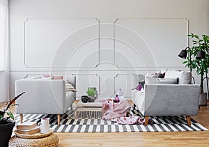Pink blanket and table between grey settees in living room interior with plant and pouf. Real photo photo
