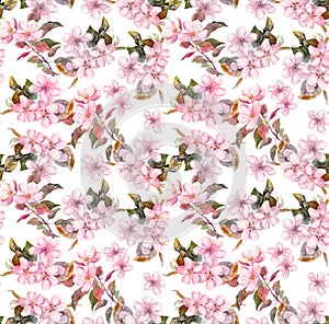 Pink blooming apple, cherry flowers. Seamless floral pattern. Watercolor on white background