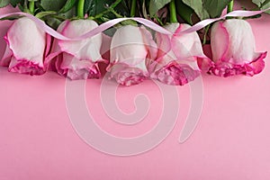 Pink blooming roses and ribbon on pastel pink background. Romantic floral frame. Copy space