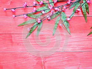 Pink blossom flowers and green bamboo leaves on red wood background