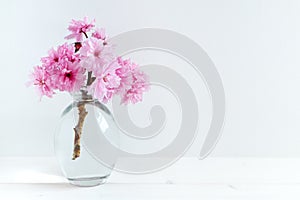 Pink Blossom styled stock photography