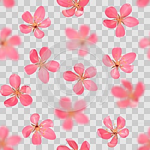 Pink blossoming cherry with bokeh effect seamless pattern