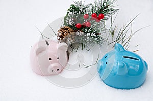 Pink and blue ceramic pig piggy Bank on snow with fir branch, Christmas holiday