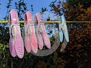 Pink and blue clothes pegs hanging on a washing line