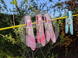 Pink and blue clothes pegs hanging on a yellow washing line photo