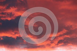 Pink Blue Clouds photo