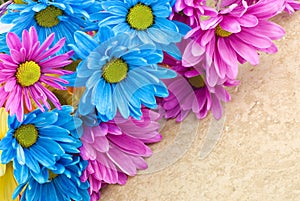 Pink and Blue Daisies