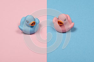 Pink and blue duckling on pink and blue background  as a traditional sign for boy or girl as a concept for traditional gender