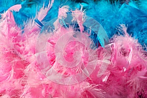 Pink blue feather boa