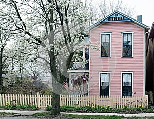 Pink & Blue House with Picket Fence & Flowering Pear Tree