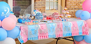 Pink and Blue, Outdoor Gender Reveal Party Decorations photo