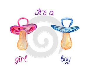 Pink and blue pacifier, isolated with inscription it`s a girl, boy